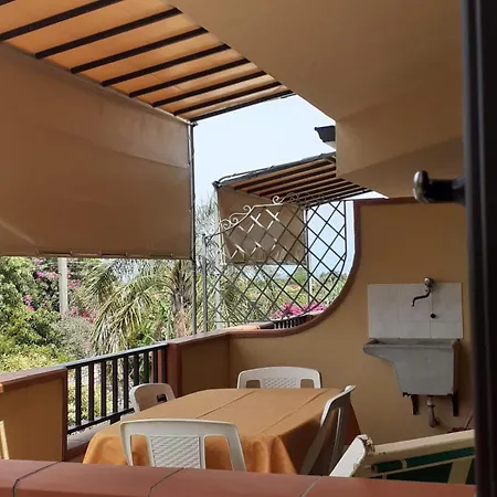 Garden Capo Vaticano