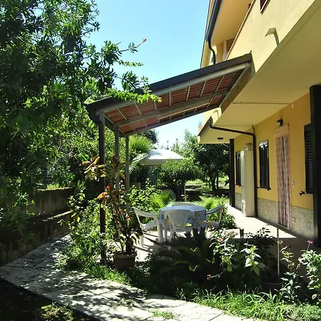 Garden *